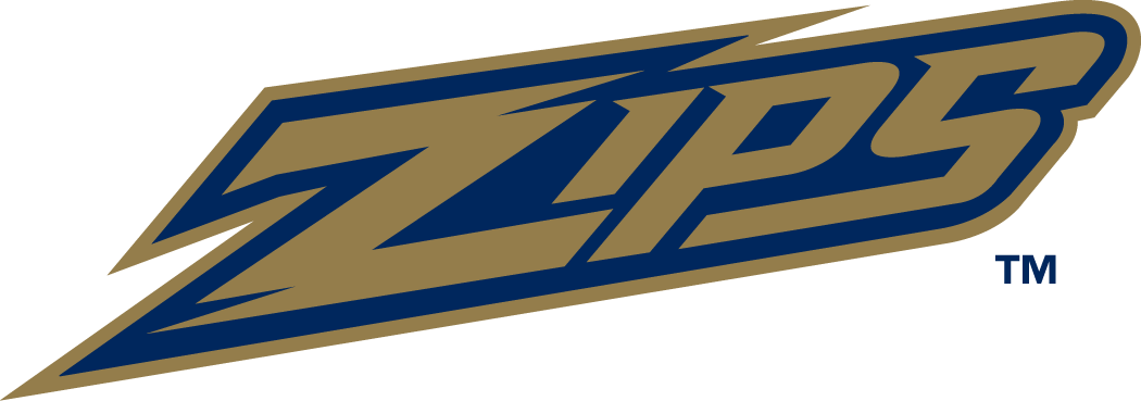 Akron Zips 2002-Pres Wordmark Logo v2 diy iron on heat transfer